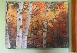 Canvas Wall Art Trees Forrest
