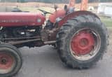 Tractor, MF 135