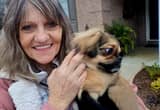 Dog Whisperette Mobile Dog Behaviorist