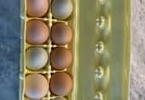 Farm Fresh - Chicken Eggs