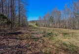 UNRESTRICTED 5 Ac± TRACT with CREEK