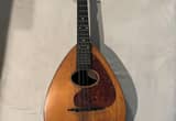 weymann mandolin
