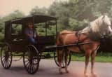 Amish Made Horse Buggy Wagon Carriage