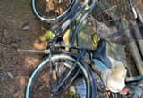 cranbrook bikcycle