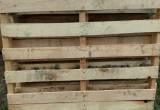 pallets 50x53