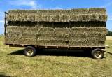 Mixed Grass Hay