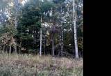 Wooded Parcel in the Heart of Lake Tansi