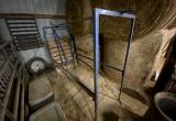 Cattle Clipping Chute