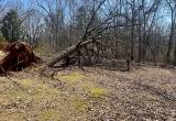 seasoned oak firewood