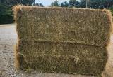 Mixed grass hay in 3x3 lg squares.