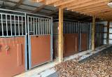Horse/ livestock stalls
