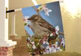 Spring Bird House Flag