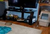 48 inch Vizio TV and stand