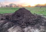 Goat manure / compost