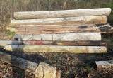 Wood Utility Poles