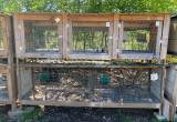 Rabbit Hutch