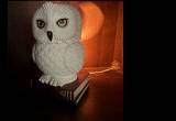 hedwig warmer