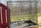 VintageSmall Stainless Steel Animal Cage