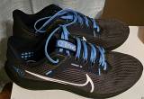 nike pegasus 40 titans edition 10.5