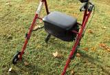 Like New Adult Walker $30