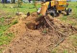 Stump Grinding