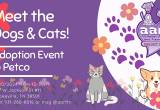 Meet AARF Dogs & Cats @ PETCO Saturday!