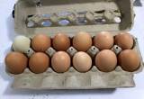 Farm Fresh chicken eggs.