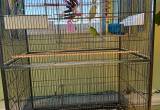 Extra large cage 2 male parakeets