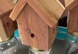 Hummingbird House And Carpenter Bee Trap