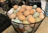 Farm fresh eggs $5.00