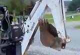 Bobcat Backhoe