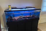 125 Gal Fish Tank Complete Setup