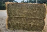 Mixed grass hay in 3x3 lg squares.