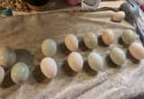 Ancona Duck Hatching Eggs