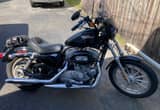 REDUCED THIS WEEK ONLY 08Sportster 883XL