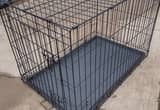 Dog Training Cage