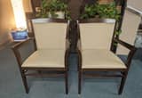 2 Matching Modern Chairs