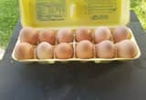 Farm Fresh Free Range Country Eggs