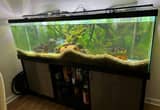 Complete 125 Gallon Aquarium / Fish Tank