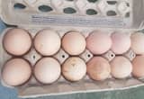 Farm Fresh Country Eggs