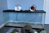 Bearded Dragon Enclosure and Supplies