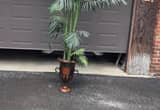 8 ft tall artificial plant