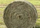 170 4x5 rolls of hay