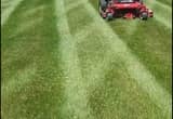 mowing and lawn care