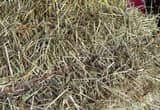 Mixed Grass Hay