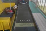 Reduced price again skee ball game