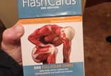 Anatomy Flashcards