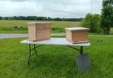 Honey Bee Hives & Supplies!
