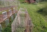 rabbit cages
