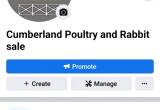 Cumberland County Rabbit & Poultry Sale